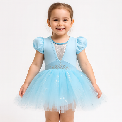 Princess Ice Queen Tutu Dress Set